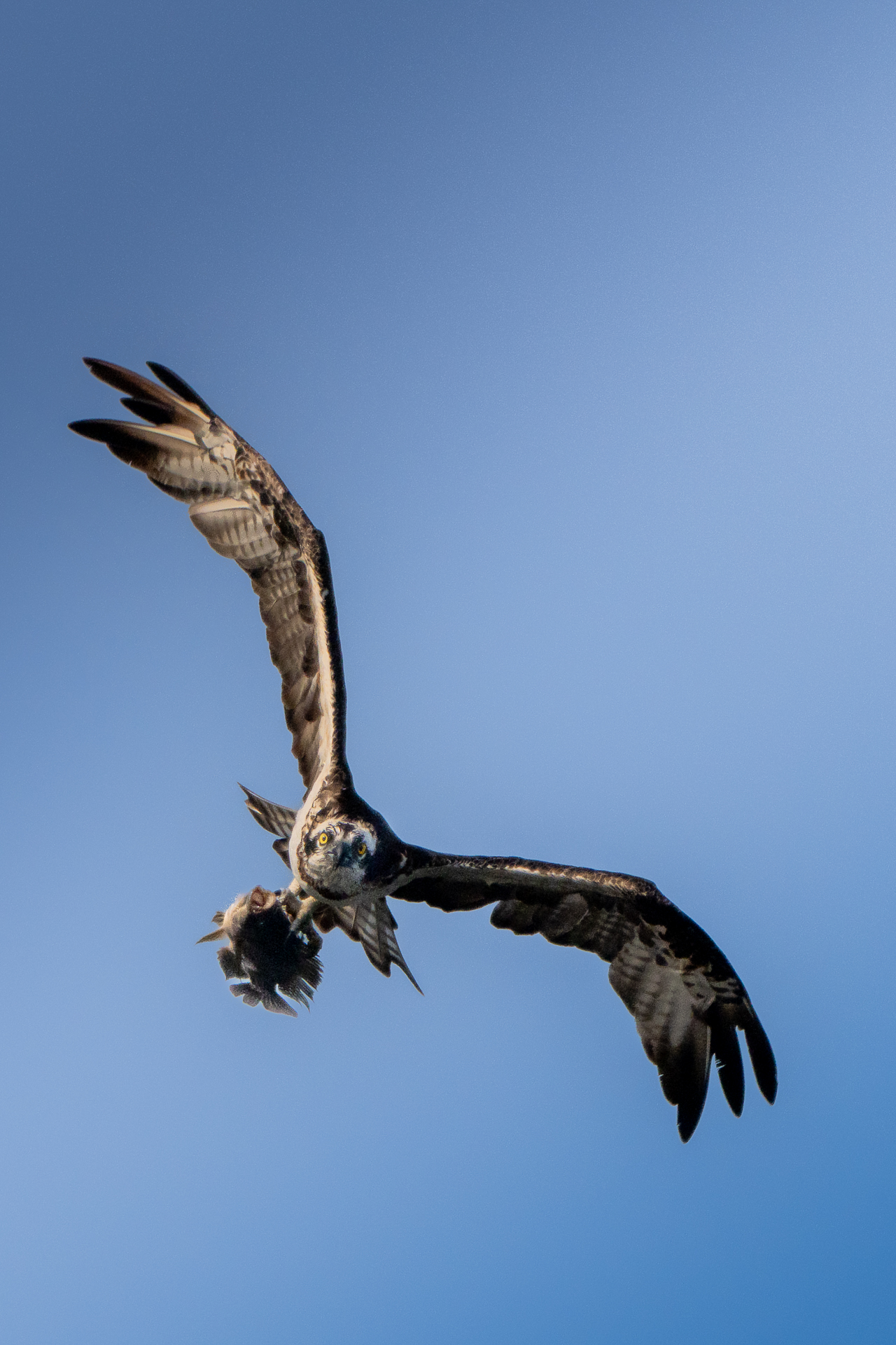 Krabi Overseas Workshop, Jan 2026